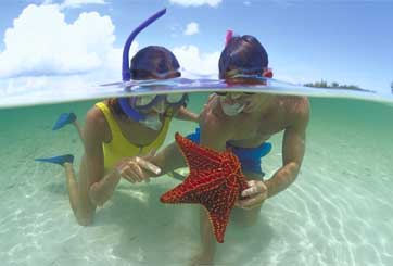 Discover Snorkelling 